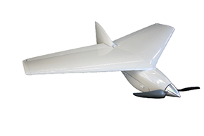 Flying Wing Prototype